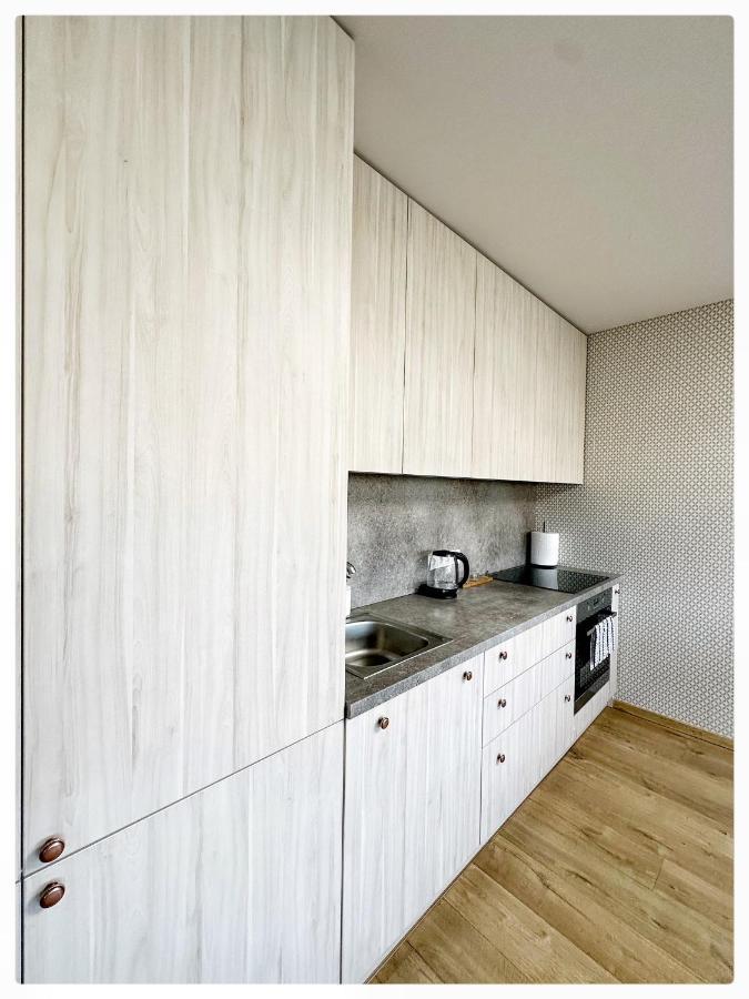 קובנה Apartaments In The City Centre מראה חיצוני תמונה
